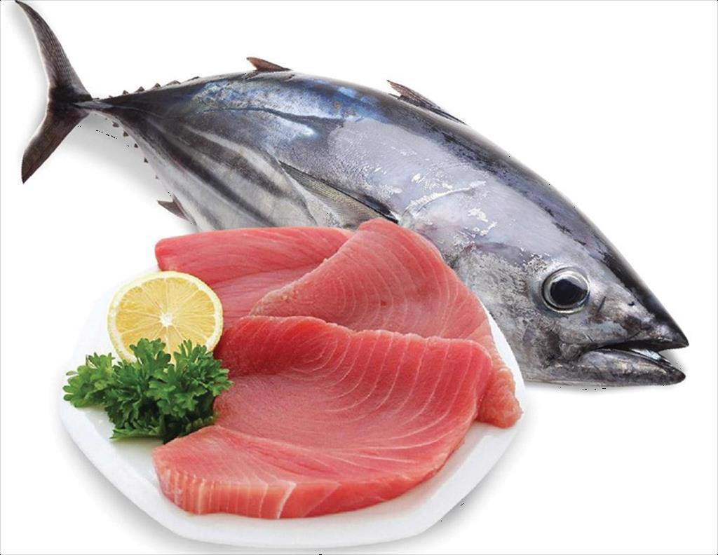 15 Nguon Loi Ca Ngu Hien Khong Dat Tieu Chuan Msc