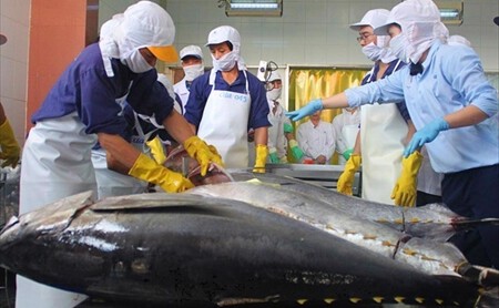 20230410111514902“bung Sang” Xuat Khau Ca Ngu Sang Anh Trong Thang 1598 1