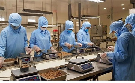 20230424102157552ca Ngu Viet Nam Bi Sut Giam Thi Phan Tai Canada 1598 1