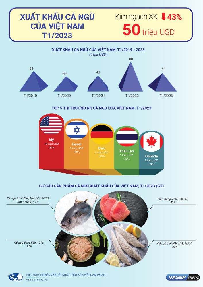 Infographic: Xuất khẩu cá ngừ Việt Nam tháng 01/2023