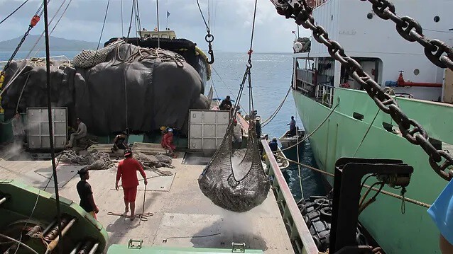 Nganh Ca Ngu Ecuador Doi Mat Voi Canh Tranh Tu Trung Quoc