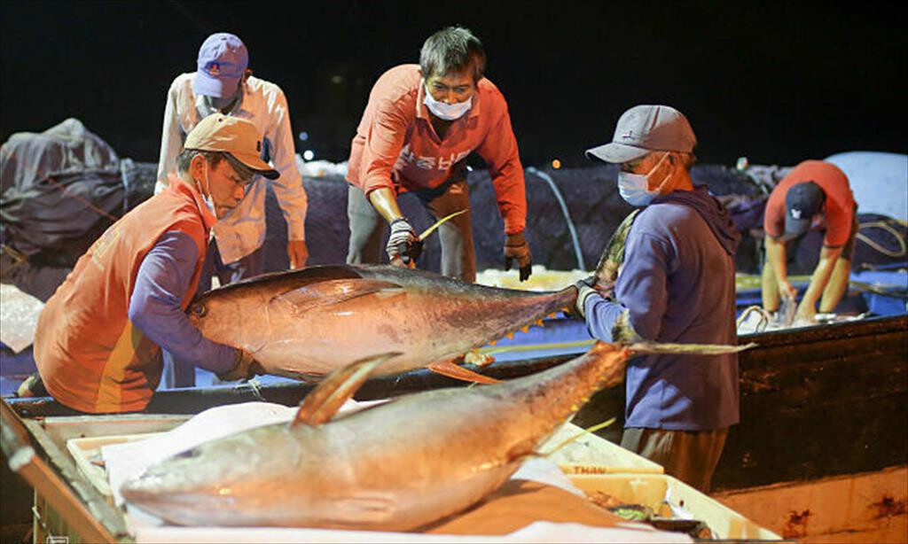Xuat Khau Ca Ngu Sang Duc Tang Lien Tuc Trong 2 Thang Dau Nam Nay